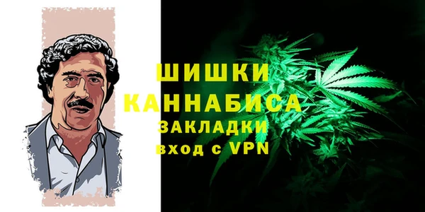 шишки Алексин