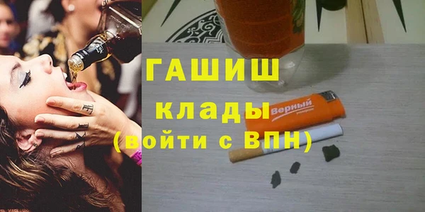 гидра Абаза