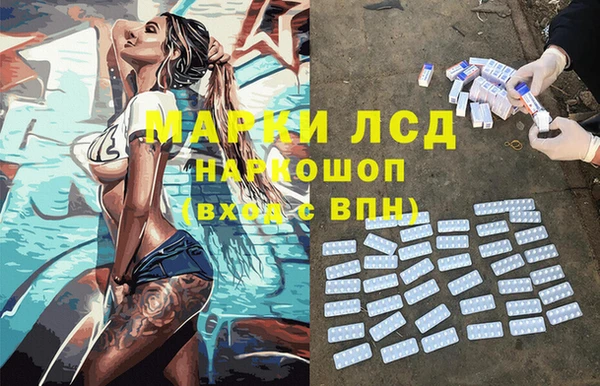 гидра Абаза